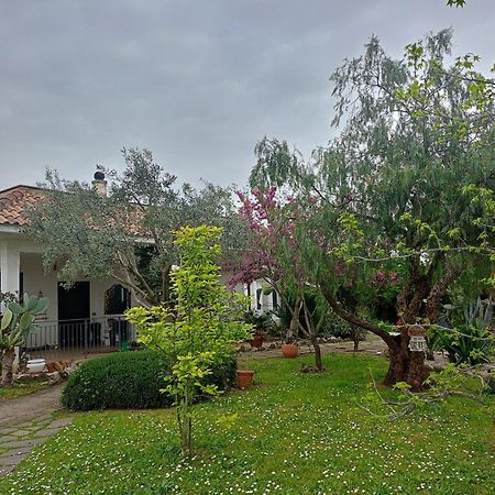 La Casa Di Fede Hotel Lanuvio Exterior photo